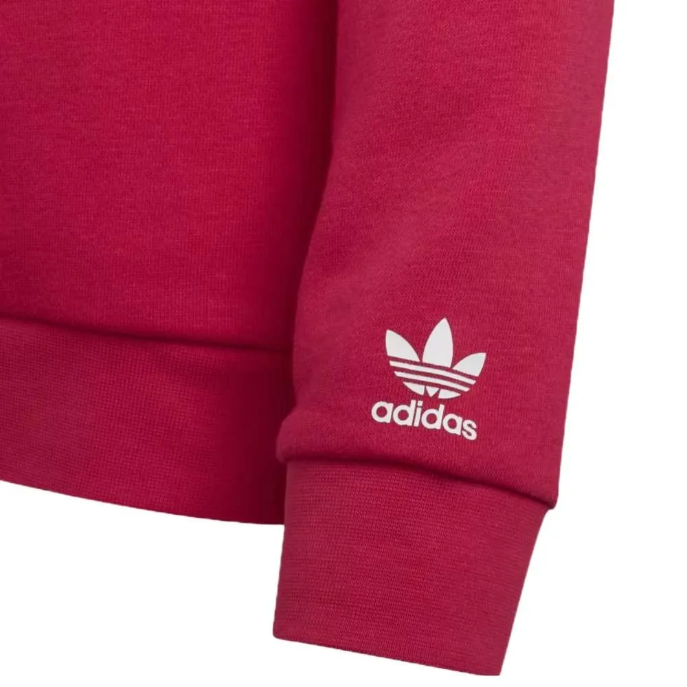 Adidas Originals Adicolor Kids' Hoodie Bold Pink