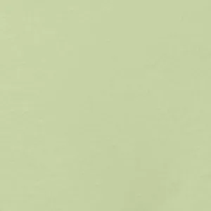 Comfort Cotton Front & Back Close Racerback Bra | Glass Green
