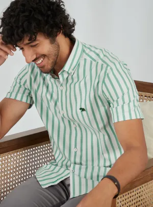 Delta Green Stripe Half Shirt