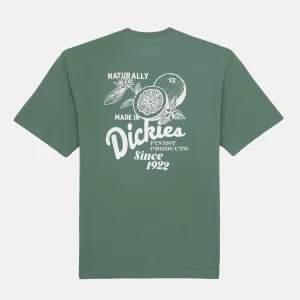 Dickies - Raven T-Shirt - Forest