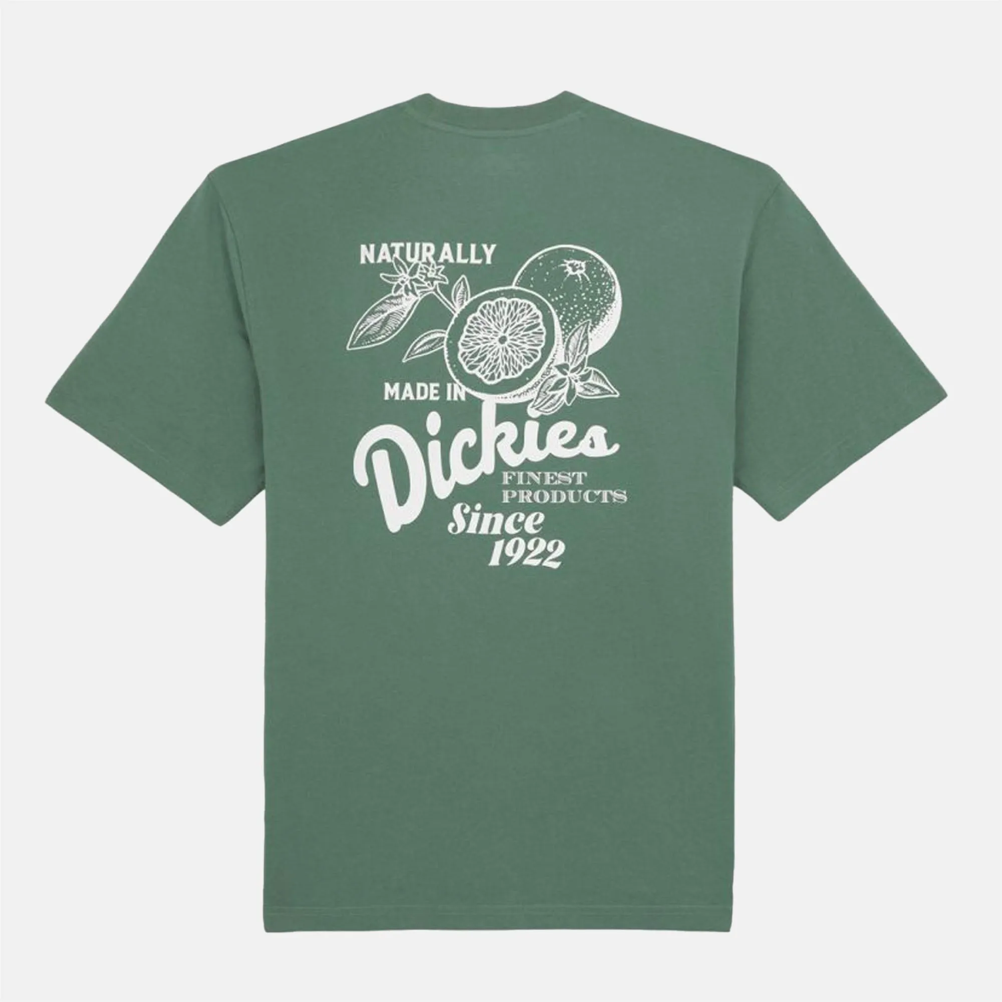 Dickies - Raven T-Shirt - Forest